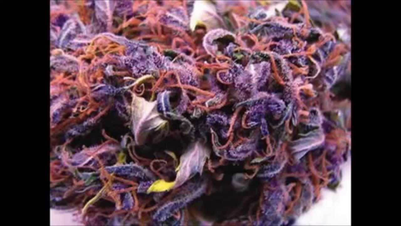 HD Weed - Super Dank Nugs Part 1