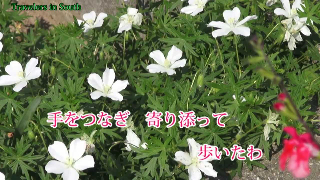 からたちの小径 島倉千代子 Cover Doenka Eiko Youtube からたちの小径 島倉千代子 Cover Doenka Eiko Youtube
