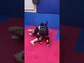 MMA甲子園全国大会に向けて