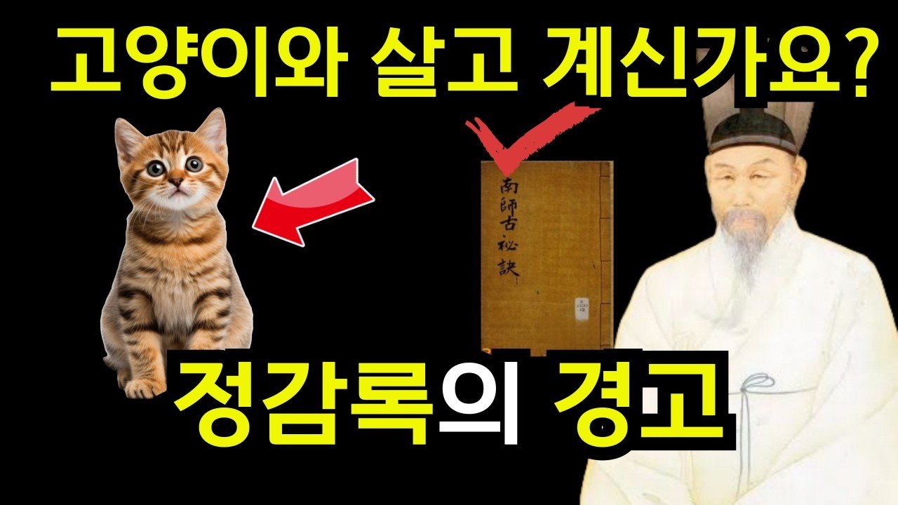 정감록이 예언한 고양이의 비밀: 고양이가 집안에 미치는 영향은?