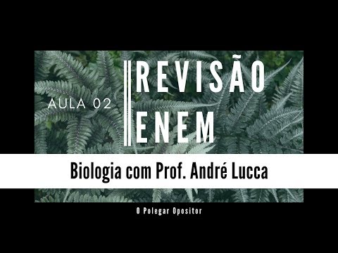 Vídeo: A Larva Da Mosca Quase Entrou No Cérebro Da Menina - Visão Alternativa