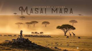 Masai Mara - Adventure of a Lifetime | Wildlife Africa