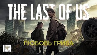 Сериал The Last Of Us — Любовь Гриба