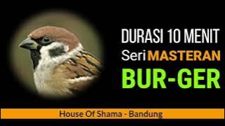Seri Masteran Burung Gereja, 10 menit
