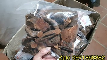 rễ cây mú từn, thảo dược tăng sinh lý cực kỳ hiệu quả cho nam giới