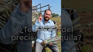 Te quejas del precio del tequila?#brunobarba #tequila #agave #jalisco #méxico