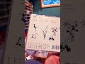 Asian Music