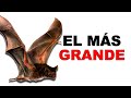 🦇 Murciélago de la Fruta: El MEGAMURCIÉLAGO más GRANDE del MUNDO - Animales Salvajes