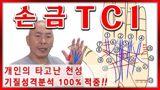 《손금 TCI》 기질 및 성격과 운을 알려줍니다 [손도사손금채널 135번]