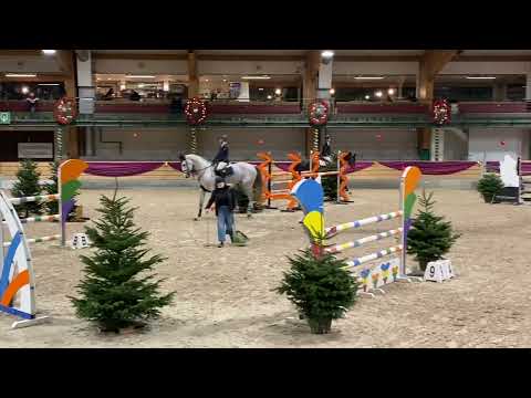 Pegasus v/h Maarlo - 7 years old NY Jumping Warredal