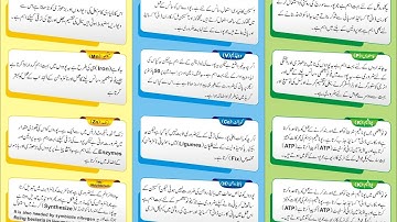brochure design with corelDRAW by Ahsan Sabri