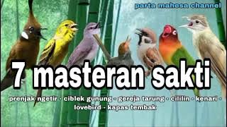 Masteran Sakti Full Tembakan Kasar Mewah Untuk Isian Semua Jenis Burung Lomba