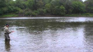 Double Spey Skagit Style