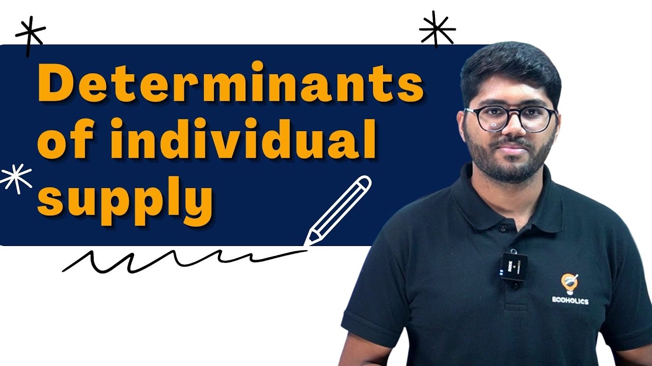 determinants-of-individual-supply-class-11-ecoholics-youtube