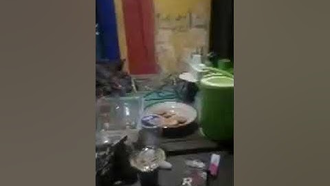 bunga bungana lino ~ cipt amir syam cover tata
