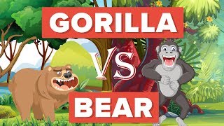 Gorilla vs Bear - Who Would Win? - Animal Comparison