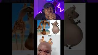 Try Not Laugh 539 😅