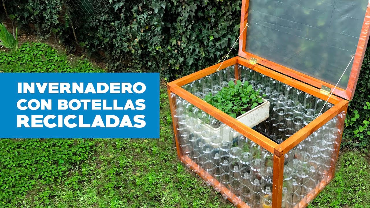 Cómo hacer un pequeño Invernadero con botellas de plástico