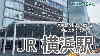 【JR】横浜駅　120％満喫する　東京駅を抜いて第3位の乗降客数　6社が乗り入れる超巨大ターミナル