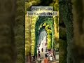 ВИРТУАЛЬНАЯ РЕАЛЬНОСТЬ в 1830 году VERTICAL REALITY