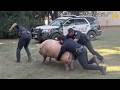 Police vs Animals FUNNIEST Moments Ever..