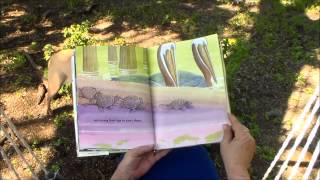Bubby s Reading Circle - Book 31 Babies in the Bayou