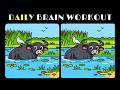 Brain Focus Training | | Can You Find All 3Differences? Captain Detective