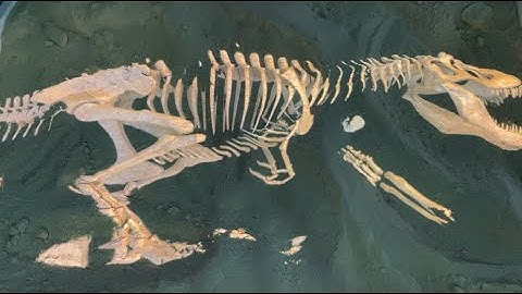 How to make an AR interactive sandbox with 3D games. Dinosaur excavation. Magicdynamics