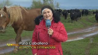 Trashumancia por las cañadas Leonesas y de la Plata - AGROSFERA (2022 Diciembre)