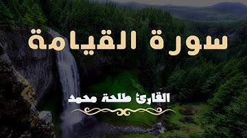 سورة القيامة للقارئ طلحة محمد | Dalha Mohamed Surah Al-Qiyamah