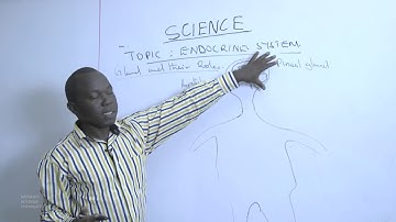 56 Mr  Wambete Isaiah   Endocrine System  SCIENCE YEAR 9