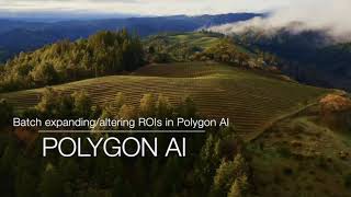 Batch expanding/altering ROIs in Polygon AI.