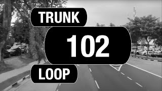 SBS Transit Trunk 102 (BFTP 2018) | Bus Service Route Visual