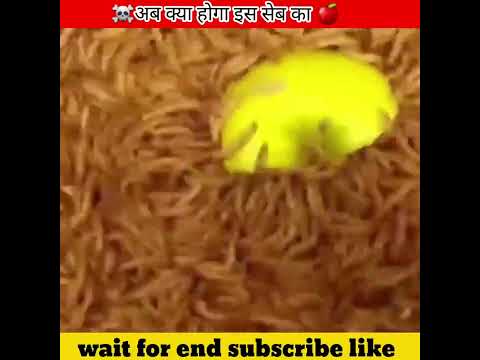 Apple Experiments @MRINDIANHACKER अब क्या होगा इस सेब के साथ ️ - #experiment @CrazyXYZ - Apple Experiments @MRINDIANHACKER अब क्या होगा इस सेब के साथ ️ - #experiment @CrazyXYZ