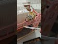 Hungry little dinosaur #shorts #leopardgecko #gecko