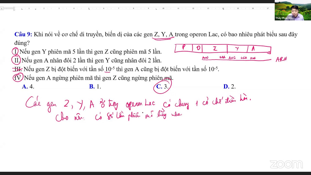 Bài 1 - Ôn khái quát về Di truyền phân tử