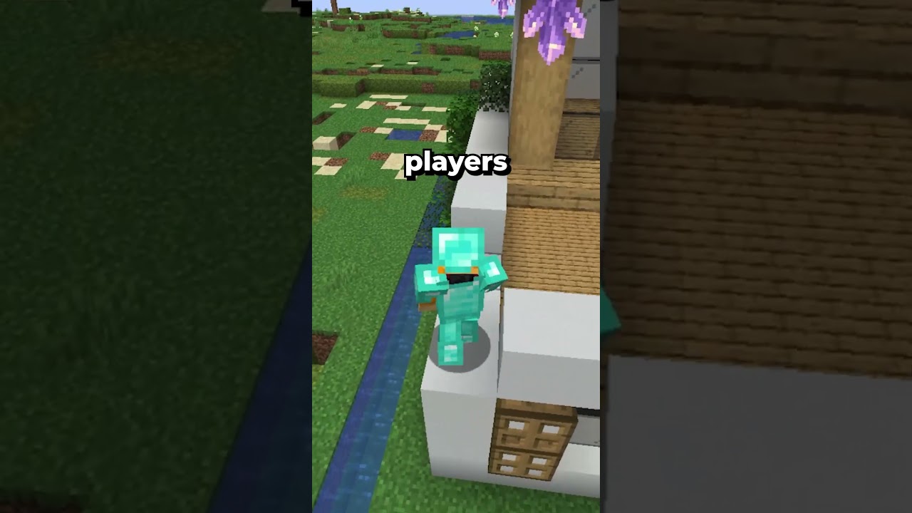 Bedrock just got a partnered Lifesteal server!❤️⚔️ 