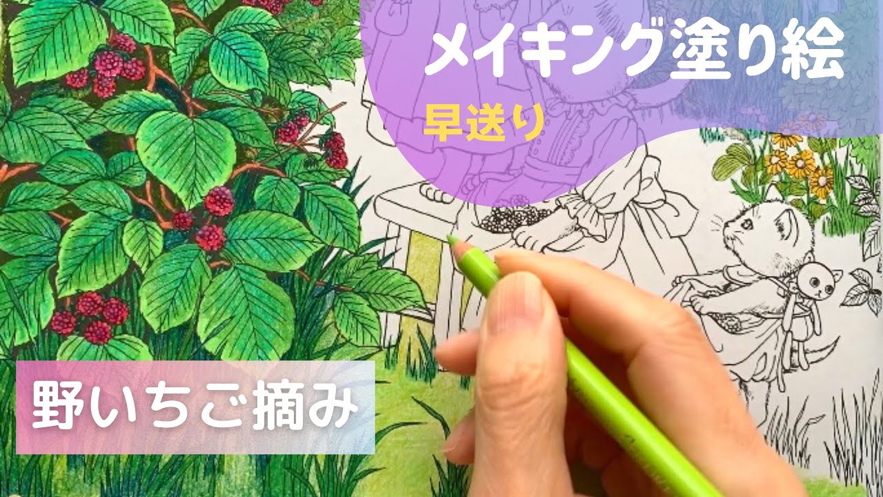 【色鉛筆】野いちご摘み｜大人の塗り絵｜メイキング塗り絵