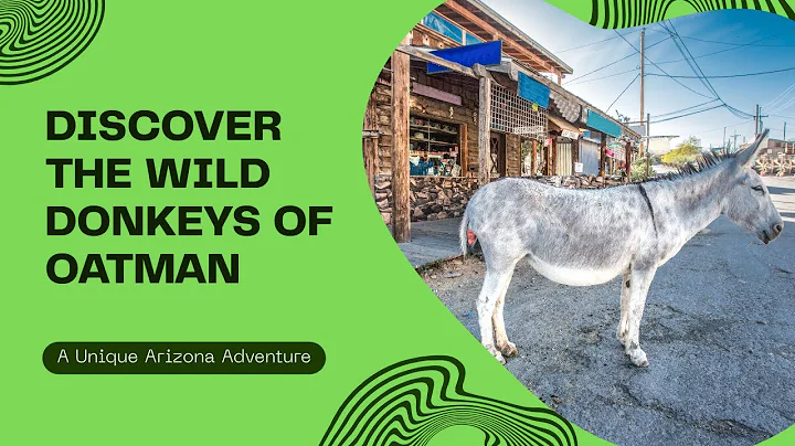 Visiting Oatman Arizona | Wild Donkeys & Historic Route 66 Adventure 2025