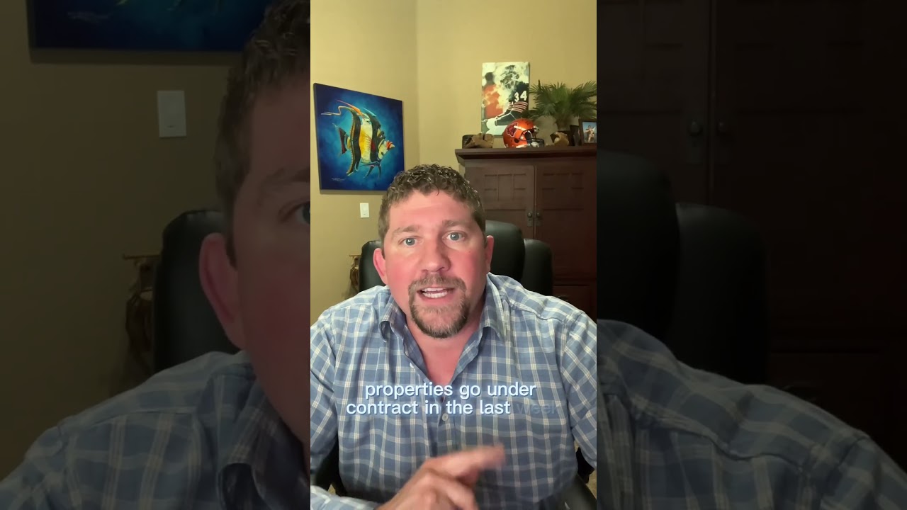 Keller Market Report! Under $500k