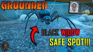 Grounded Black Widow Safe Spots!