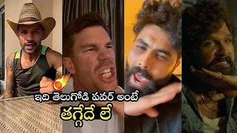 Cricket Players Saying Pushpa Movie Dialogue | Allu Arjun | David Warner | Jadeja |Filmyfocus.com