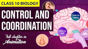 Control and Coordination Class 10 Full Chapter (Animation) | Class 10 Science NCERT Chapter 7 | CBSE