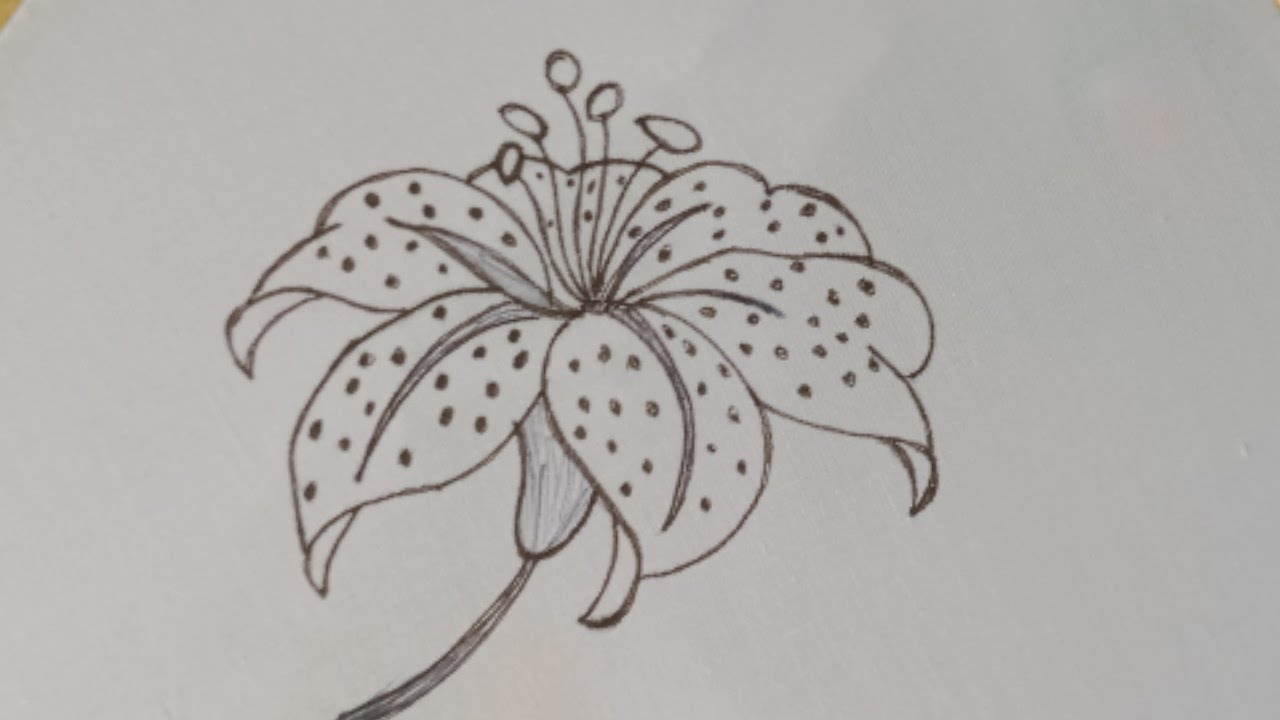 Hand embroidery flowers , An eye catching flower embroidery l Modern flower stitches