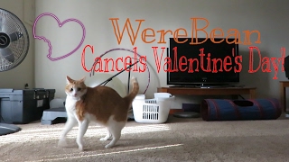 Werebean | valentine's day is canceled!