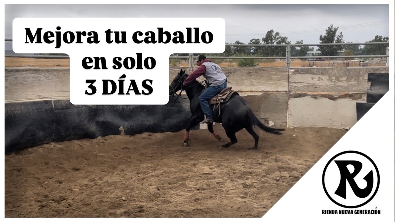 Como mejorar mi caballo en 3 días