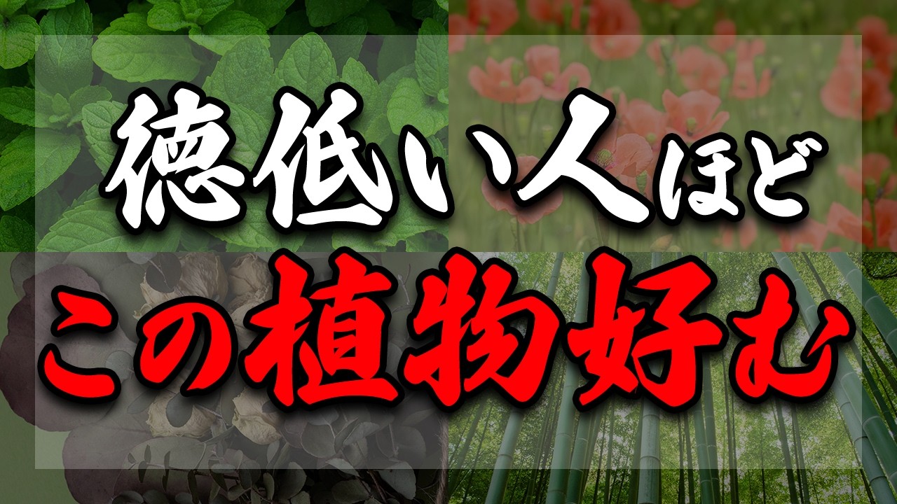 あなたの家にありませんよね？徳が弱っている時ほど選んでしまいがちな植物や2026年最も育てるべき観葉植物についてご紹介させて頂きます！