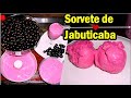 Como Fazer Sorvete de Jabuticaba