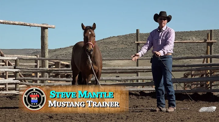 Mustang Trainer Steve Mantle