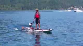 Stand Up Paddle Board with Motorized Pontoon